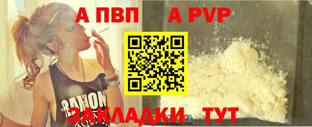 A PVP СК КРИС Нефтекумск