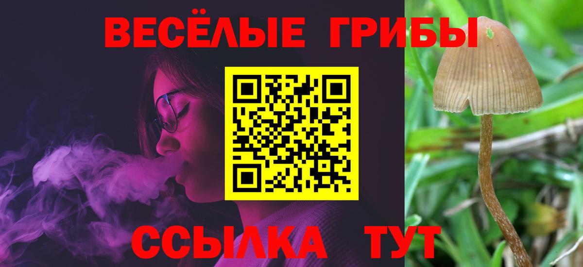 Псилоцибиновые грибы Magic Shrooms Нефтекумск